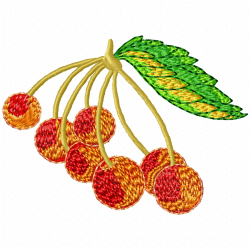 Cherry Embroidery Design 1